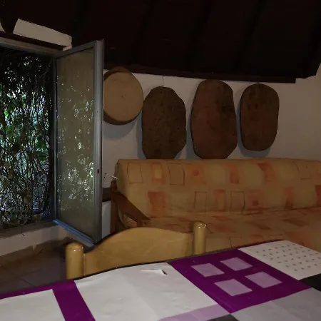 Apartment Pinnettu Sardo Cerca Su Google Tipica Abitazione Sarda In Ecosistema Insetti E Animaletti Simpatici In Condivisione Bagno Esterno A 10metri Leggere Attentamente Prima Di Prenotare