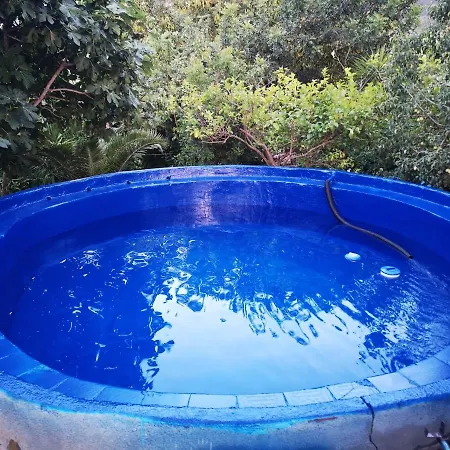 شقة Pinnettu Sardo Tipica Abitazione Sarda In Ecosistema Insetti E Animaletti Simpatici In Condivisione Bagno Esterno A 10metri Leggere Attentamente Prima Di Prenotare *