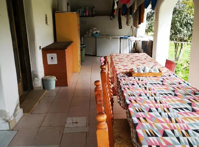 Pinnettu Sardo Tipica Abitazione Sarda In Ecosistema Insetti E Animaletti Simpatici In Condivisione Bagno Esterno A 10metri Leggere Attentamente Prima Di Prenotare *