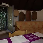 Apartman Pinnettu Sardo Tipica Abitazione Sarda In Ecosistema Insetti E Animaletti Simpatici In Condivisione Bagno Esterno A 10metri Leggere Attentamente Prima Di Prenotare