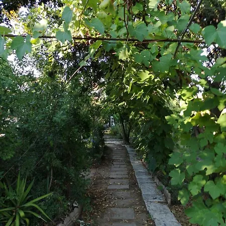 Pinnettu Sardo Tipica Abitazione Sarda In Ecosistema Insetti E Animaletti Simpatici In Condivisione Bagno Esterno A 10metri Leggere Attentamente Prima Di Prenotare Apartamento *
