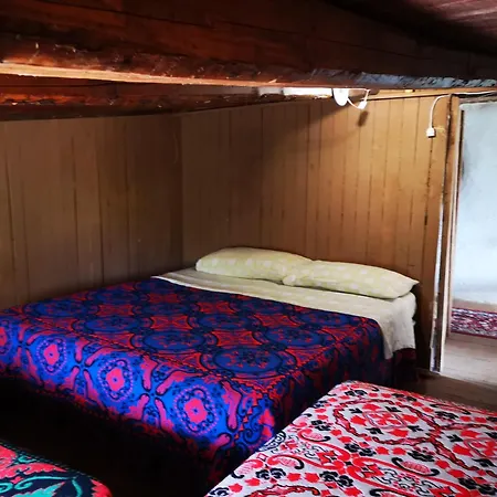 Pinnettu Sardo In Ecosistema Insetti E Animaletti Simpatici In Condivisione Oliena